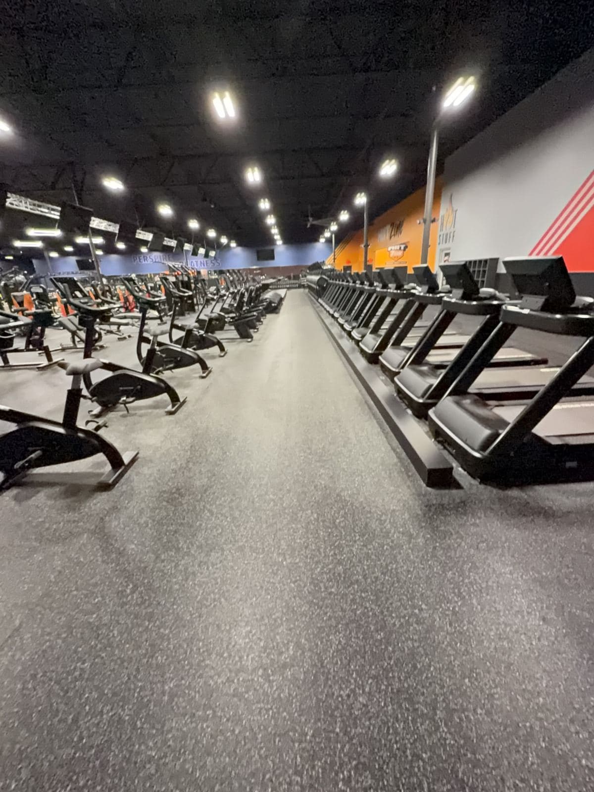 Rows of new cardio equipment on a spotless gym floor